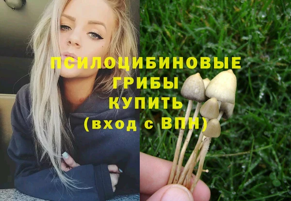 2c-b Мегион