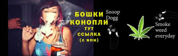 гидра Медвежьегорск